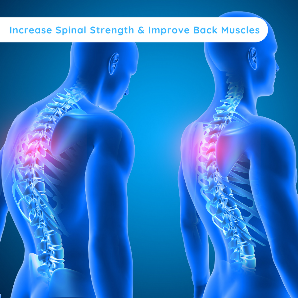 SpinalBliss™ Therapy - Lumbar Traction Device